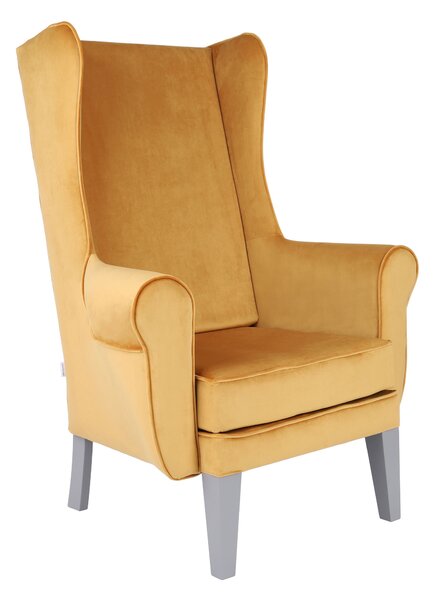 Fotoliu Wingback