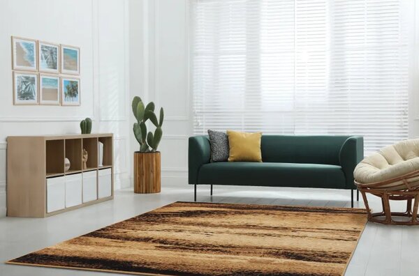 Covor Abstract Canis Beige Selectează mărime: 050 X 070