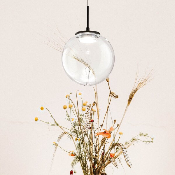 Fabas Luce Lampă suspendată LED Ariel, 1 bec, Ø 15cm, sticlă, dimabil, CCT, reglabil, Negru, Camera de zi / sufragerie, Sticlă, Modern