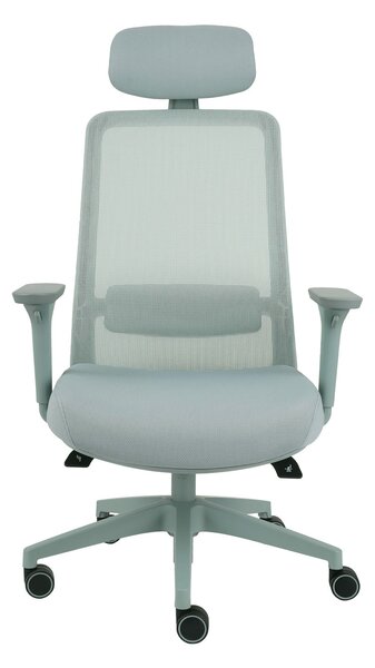 Scaun de birou Sven Mint