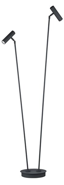 HELL Tom Pro LED lampadar LED, negru, 2 becuri, CCT, dimabil, reglabil, Negru, Camera de zi / sufragerie, Metal, Modern