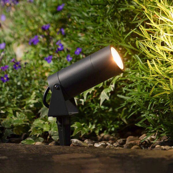 LCD Spot LED cu vârf de sol 5131, negru, aluminiu, sticlă, fișă Schuko, Negru, Aluminiu