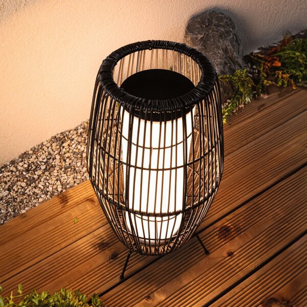 Paulmann Plug & Shine LED coș de lumină RGBW, 40 cm, ZigBee, reglabil, Negru, Metal