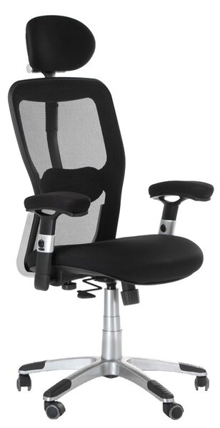 Scaun ergonomic birou, inaltime reglabila, pivotant, baza metalica, mesh
