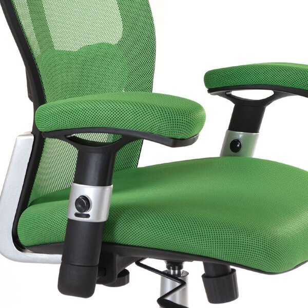 Scaun de birou ergonomic si reglabil, pivotant, tetiera, baza metalica, verde