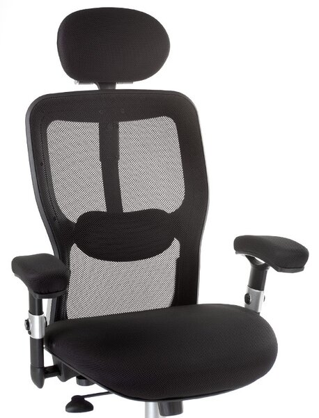 Scaun ergonomic birou, inaltime reglabila, pivotant, baza metalica, mesh