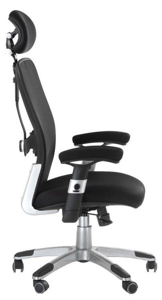 Scaun ergonomic birou, inaltime reglabila, pivotant, baza metalica, mesh