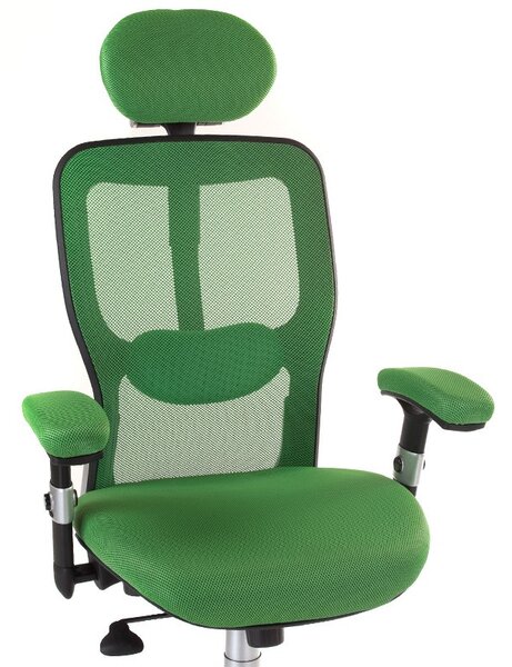 Scaun de birou ergonomic si reglabil, pivotant, tetiera, baza metalica, verde