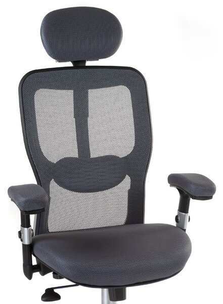 Scaun ergonomic cu spatar inalt, tetiera confortabila, cotiere din spuma moale, reglabil, gri