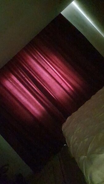 Perdea Blackout opaca bordo,100x260 cm,50022