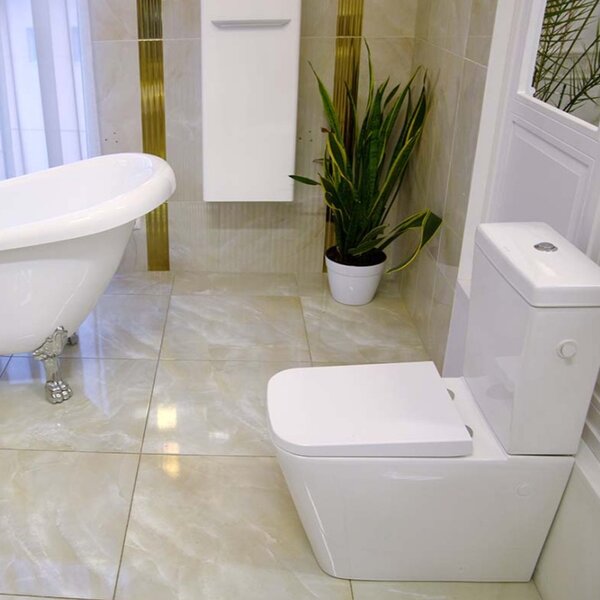 Set vas WC stativ, Fluminia, Paris, cu rezervor și capac, alb