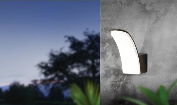 Aplică LED de exterior FIUMICINO LED/11W/230V IP44 Eglo 98148