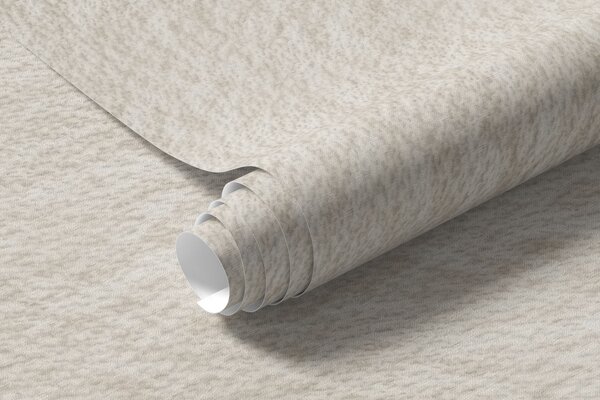 Tapet Fundal bej deschis în stil tencuială decorativă, stil minimalist, textură de piatră, Imagini de fundal unice, w09800 : Uwalls.ro