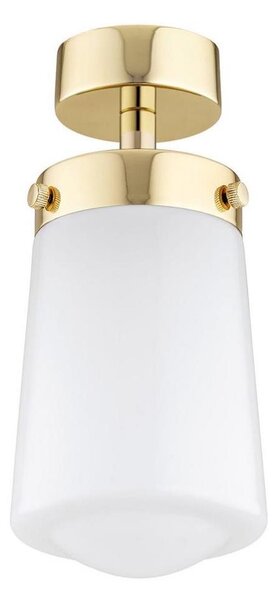 Lustră aplicată PASADENA 1xE27/15W/230V aurie/albă Argon 8005