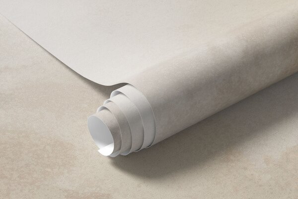 Tapet Peisaj minimalist în ceață, cu reflexii delicate în nuanțe neutre calde, Fototapet Natură, w05606 : Uwalls.ro