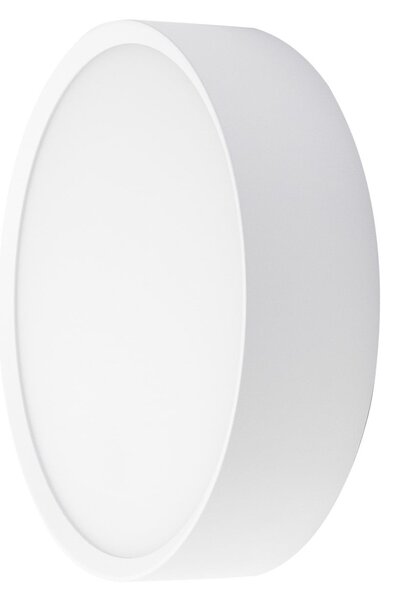 BRUMBERG Lampa de perete pentru exterior LED EYE, model deschis, alb, CCT, IP65, Alb, Hol, Aluminiu, Modern