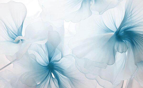 Tapet Flori delicate, cu petale vaporoase și translucide, în stil acuarelă, într-o compoziție florală, Imagini de fundal unice, w05360v2 : Uwalls.ro