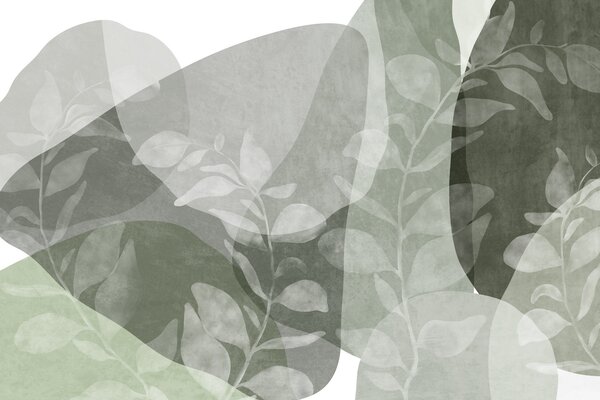 Tapet Forme abstracte în nuanțe de verde se suprapun cu elemente botanice transparente și elemente, Imagini de fundal unice, w09865v2 : Uwalls.ro