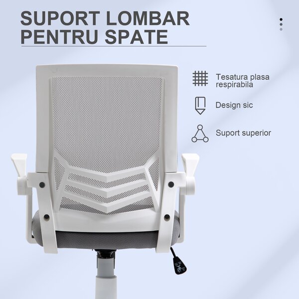 Vinsetto Scaun de Birou Ergonomic cu Suport Lombar din Țesătură, Gri | Aosom Romania