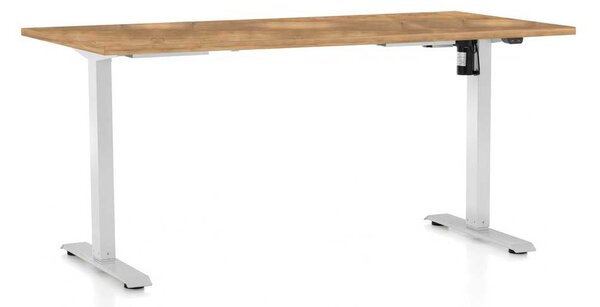 Masă înălțime reglabilă OfficeTech A, 160 x 80 cm, picioare albe, stejar auriu