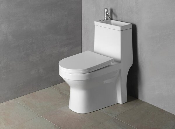 Aqualine Aqualine, scaun WC HYGIE, Soft Close, alb, PS104