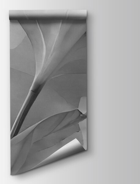 Fototapet Frunze liniștite în lumina blândă, Fototapet abstracte, Fototapet populare, t00918v2 - Tapeko.ro