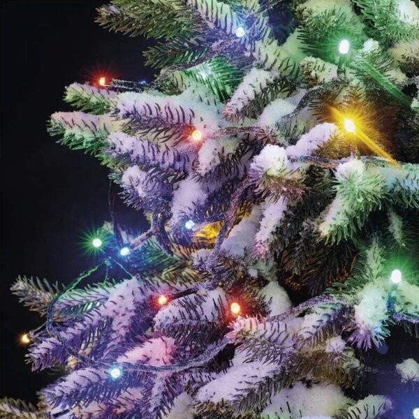 Instalație LED de Crăciun de exterior 50xLED/5m IP44 multicolor