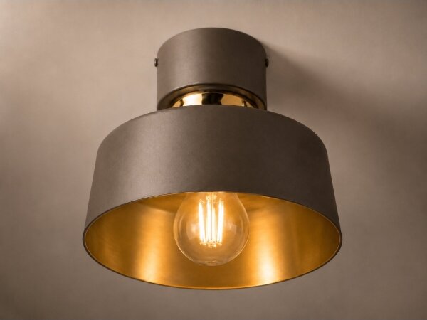 Lampă de tavan IGNIA 1xE27/60W/230V maro/auriu