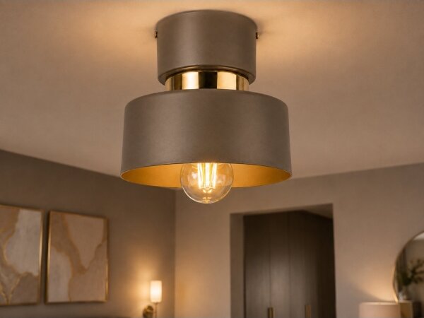 Lampă de tavan IGNIA 1xE27/60W/230V maro/auriu