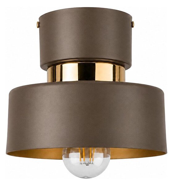 Lampă de tavan IGNIA 1xE27/60W/230V maro/auriu