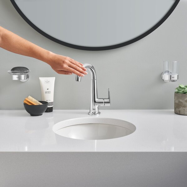 Grohe Essentials cană pentru spălat dinți transparent-crom 40447001