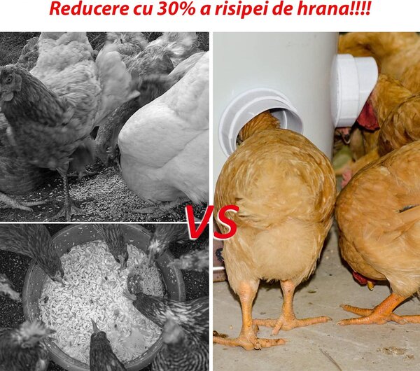 Hranitoare pentru pasari de curte - set 4 guri hranire, carota gaurire inclusa - anti-risipă, antiumezeală și protecție împotriva insectelor și rozătoarelor