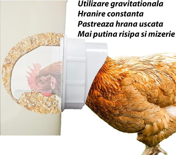 Hranitoare pentru pasari de curte - set 4 guri hranire, carota gaurire inclusa - anti-risipă, antiumezeală și protecție împotriva insectelor și rozătoarelor