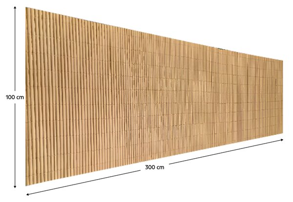 KONDELA Paravan de grădină, natural, 300x100 cm, ABEO