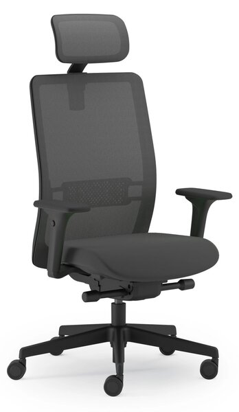 Scaun de birou ergonomic Evolution PDH, Eco Label certificare