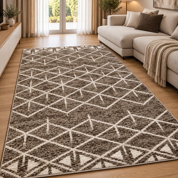 Covor Living Dormitor, Model 13036 130, Dreptunghiular, Bej Maro Maro, Dreptunghi, 50x80