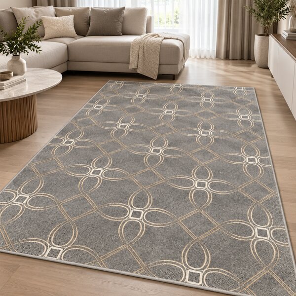 Covor Anny 33040 162, Model Living Dormitor, Bej Gri 78x150
