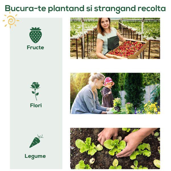 Outsunny sera de gradina, pentru plante, legume , fructe, protectia plantelor 80x49x160cm, verde | Aosom Romania
