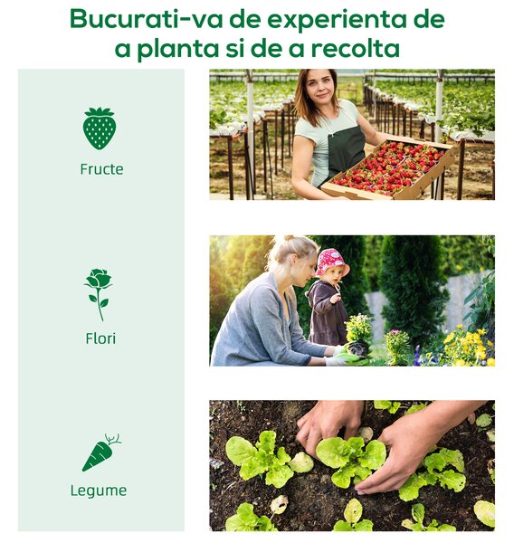 Outsunny Mini sera gradina pentru plante, sera Mica pentru Gradina pe 2 Nivele, pentru legume, fructe din PE, Verde | Aosom Romania