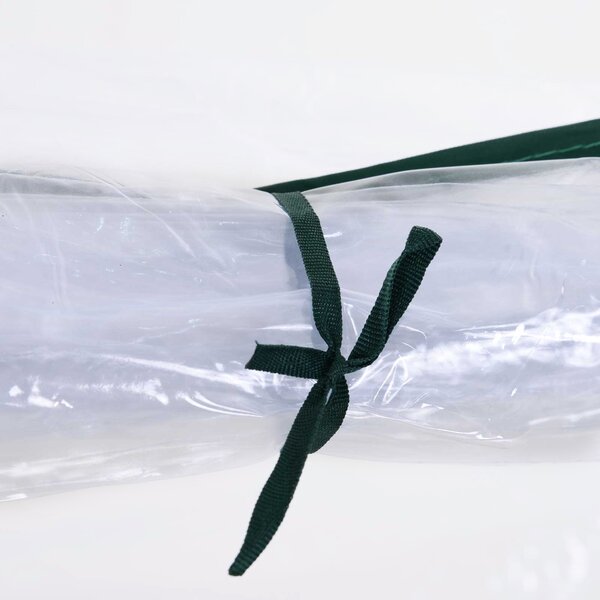 Outsunny Sera de gradina, cadru din otel, PVC, Verde si transparent 250x100x80cm | Aosom Romania