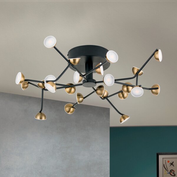 ORION Plafonieră LED Blossom, 24 becuri, Negru, Camera de zi / sufragerie, Metal
