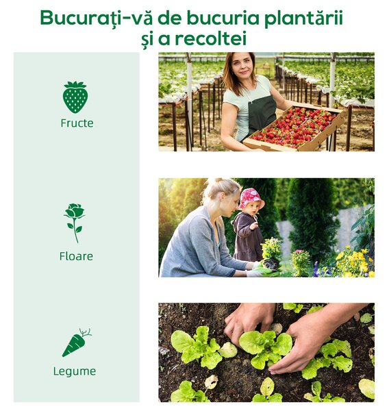 Outsunny Seră Tip Tunel din Polietilenă Cu Uși și Ferestre din Plasă, Cort cu Capac din PE și Cadru de Oțel, Verde 1,8x1,8x2 m | Aosom Romania