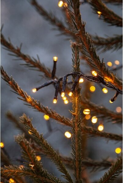 Instalație LED de Crăciun de exterior GOLDEN 800xLED 16m IP44 alb cald Eglo 411516