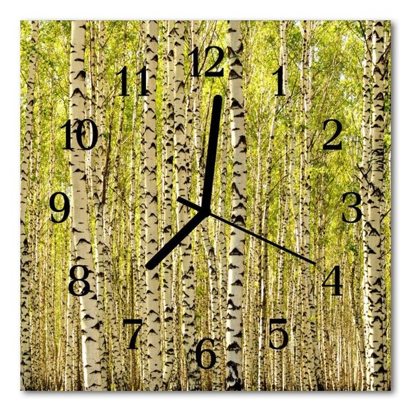 Ceas de perete din sticla pătrat Mesteceni Peisaj Forestier Verde
