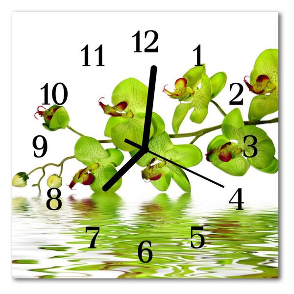 Ceas de perete din sticla pătrat Orchid Flori și plante verzi
