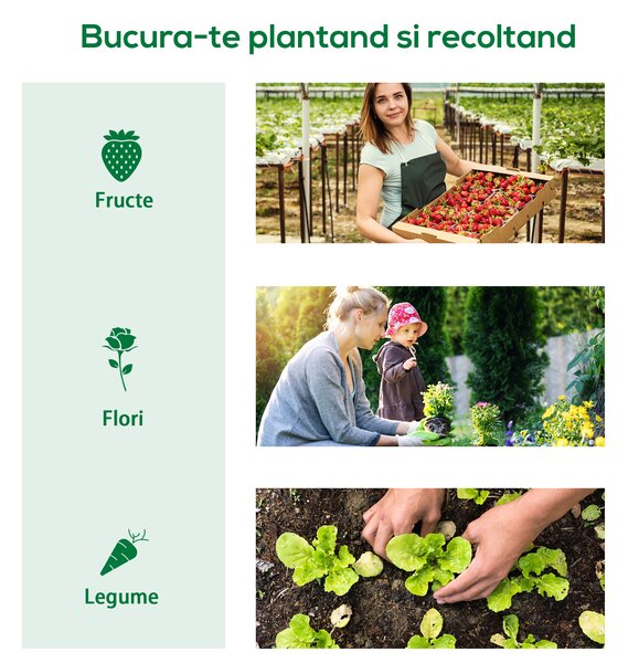 Outsunny Seră de Grădină cu 2 Ferestre Laterale și Fereastră Centrală Rulantă, din Oțel, PE și PP, 240x90x90 cm, Verde | Aosom Romania