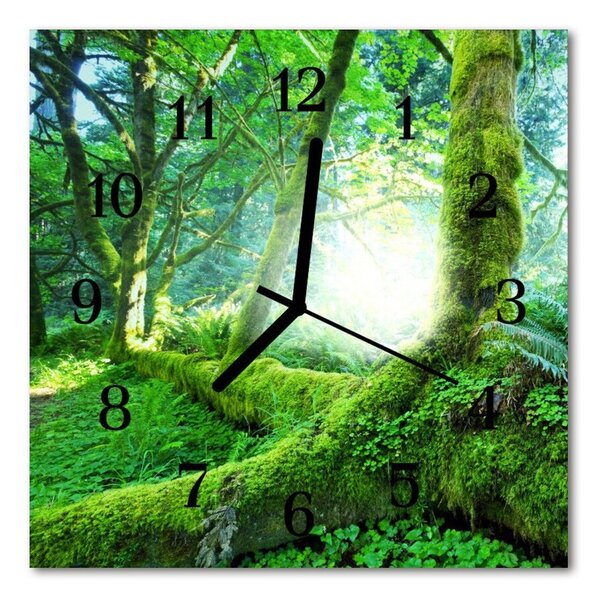 Ceas de perete din sticla pătrat Forest Moss Peisaje Verde