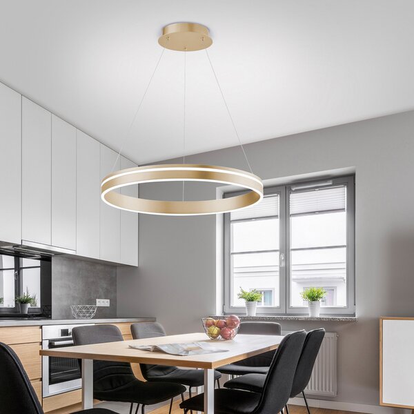 Q-Smart-Home Paul Neuhaus Q-VITO lampă pendul LED, 1 inel, reglabil, Auriu / Alamă, Camera de zi / sufragerie, Metal, Modern