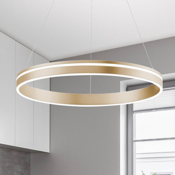 Q-Smart-Home Paul Neuhaus Q-VITO lampă pendul LED, 1 inel, reglabil, Auriu / Alamă, Camera de zi / sufragerie, Metal, Modern