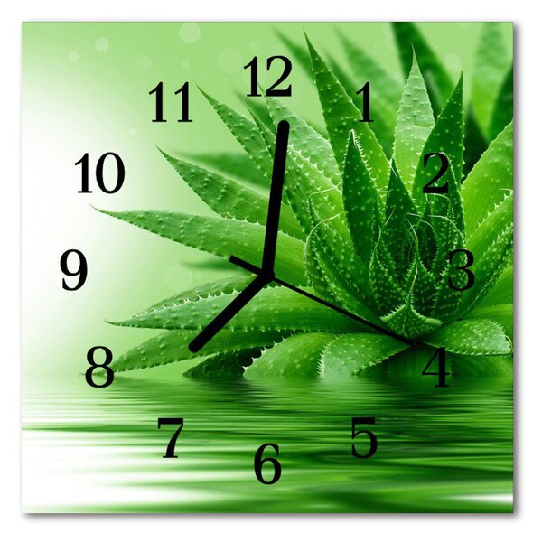 Ceas de perete din sticla pătrat Aloe Aloe Green
